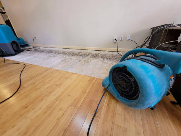Professional Sewage Cleanup technician working in Holden, ME